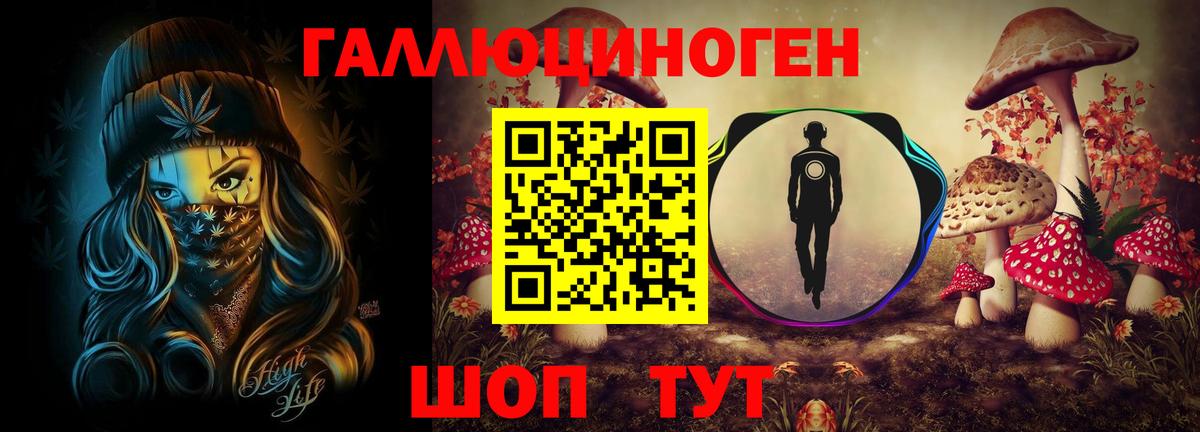 Псилоцибиновые грибы Psilocybine cubensis  Вход с VPN  сколько стоит  Зеленокумск  Псилоцибиновые грибы Magic Shrooms 